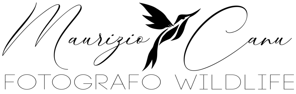 Maurizio Canu Fotografo Naturalista